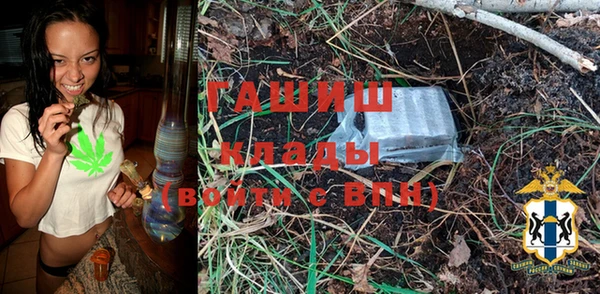 ГАЛЛЮЦИНОГЕННЫЕ ГРИБЫ Алзамай