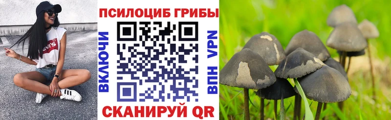 Галлюциногенные грибы GOLDEN TEACHER  Харабали 